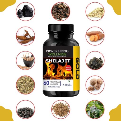 Ingredients of shilajit gold