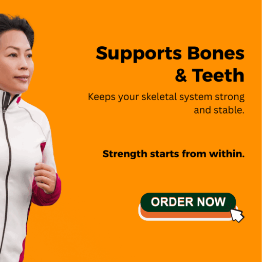 now-foods-calcium-magnesium-buy-online