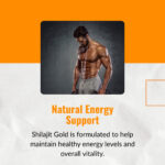 shilajit-gold-brand-quality-vitality-support