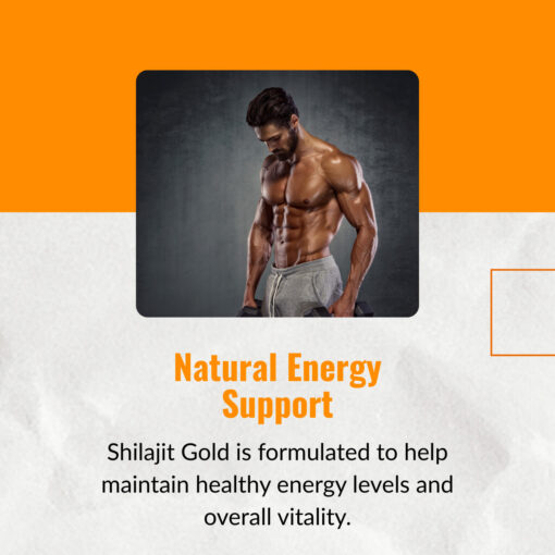 shilajit-gold-brand-quality-vitality-support
