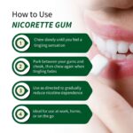 Act Now NICORETTE® Smoking Cessation Gum Spearmint Flavor