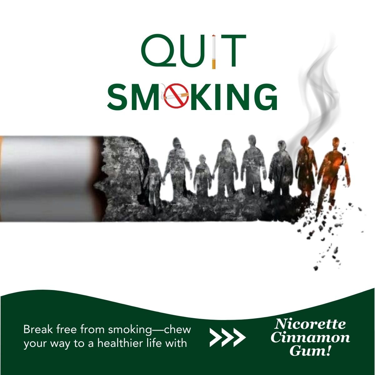Buy NICORETTE Smoking Cessation Gum Cinnamon Flavor