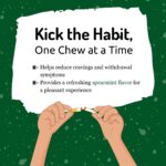 Try Now NICORETTE® Smoking Cessation Gum Spearmint Flavor