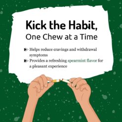 Try Now NICORETTE® Smoking Cessation Gum Spearmint Flavor