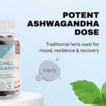 ashwagandha-reishi-vitamin-b12-gummies
