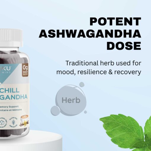 ashwagandha-reishi-vitamin-b12-gummies
